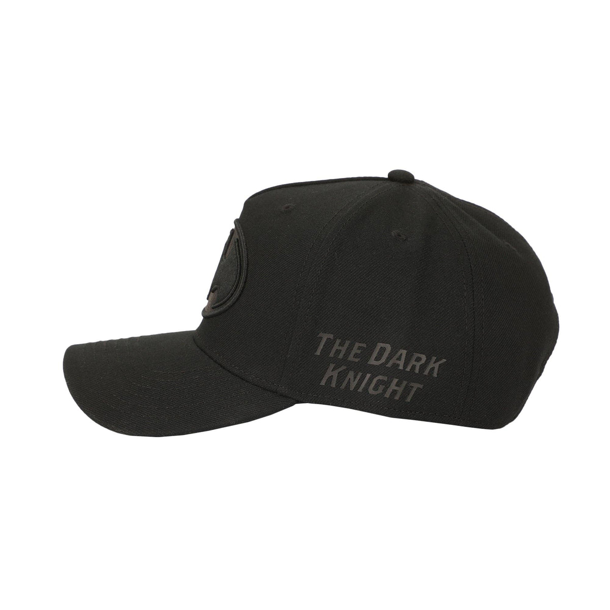 Batman Symbol Embroidery Snapback Hat - Shop Cool Tricks