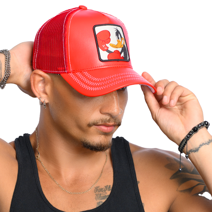 Looney Tunes - Boxing Daffy