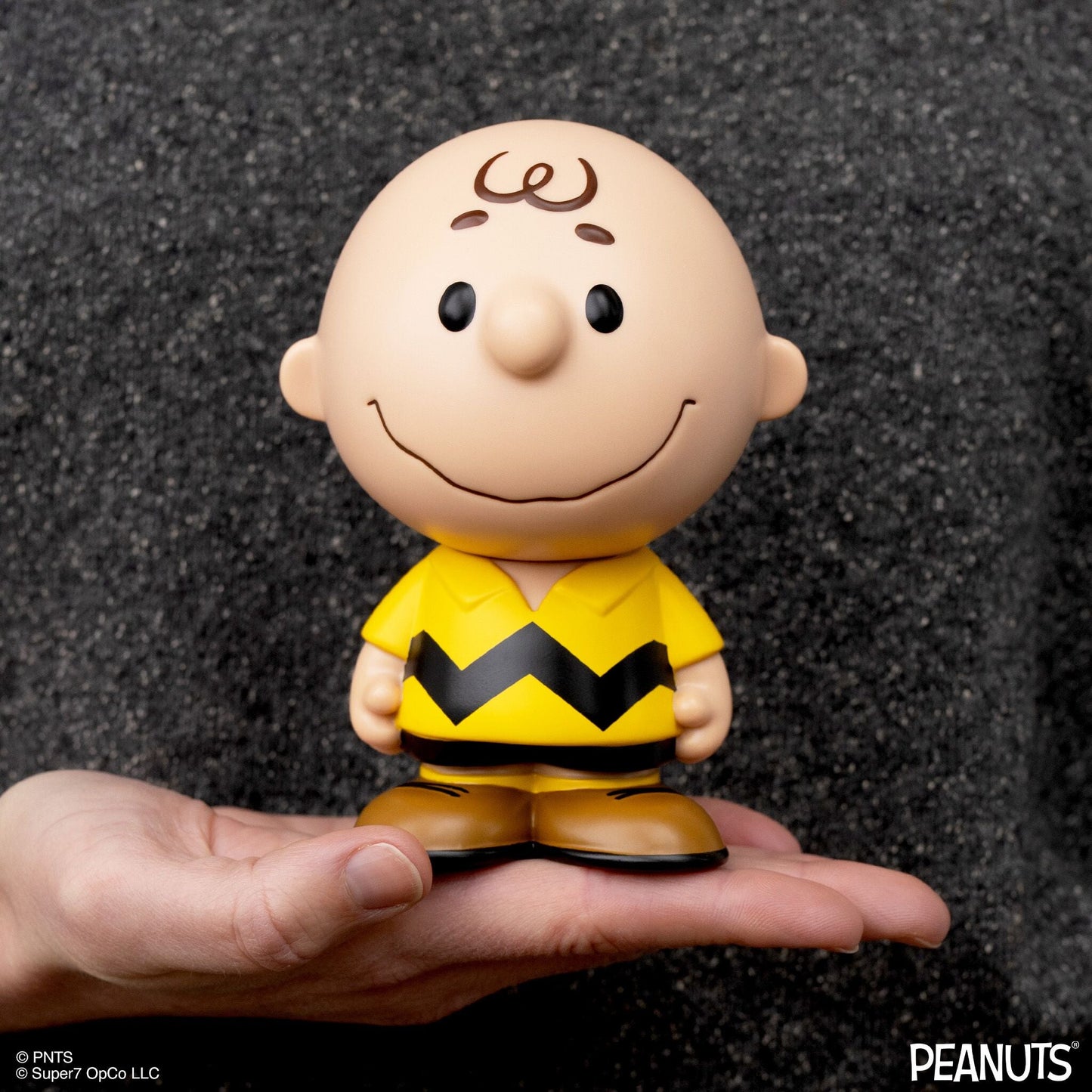 Peanuts FUN! FUN!™ Wave 1 Charlie Brown