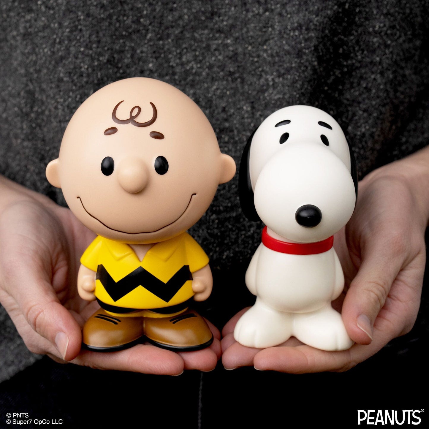 Peanuts FUN! FUN!™ Wave 1 Charlie Brown