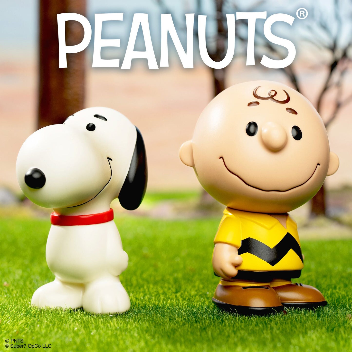 Peanuts FUN! FUN!™ Wave 1 Charlie Brown