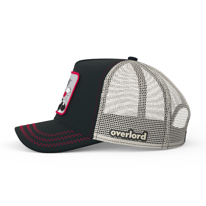 Looney Tunes: The Sylvester Trucker Hat