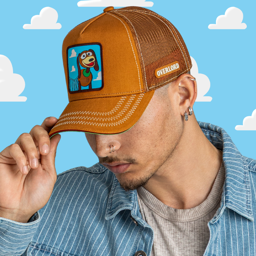 OVERLORD x Toy Story - Slinky Dog - Shop Cool Tricks