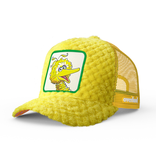 OVERLORD X Sesame Street: Big Bird