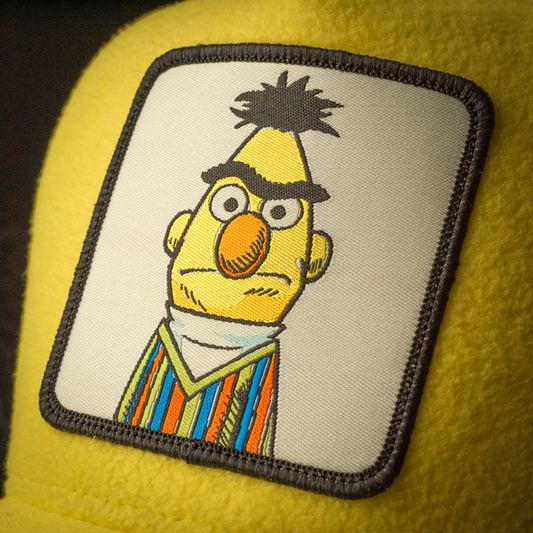 Sesame Street: Bert