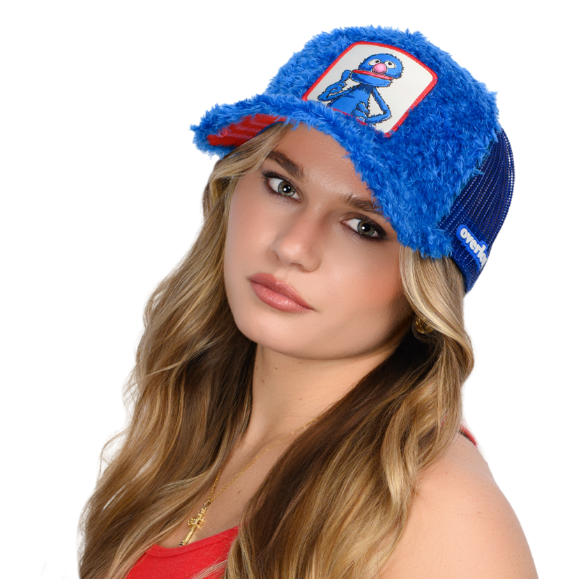 Sesame Street: Grover