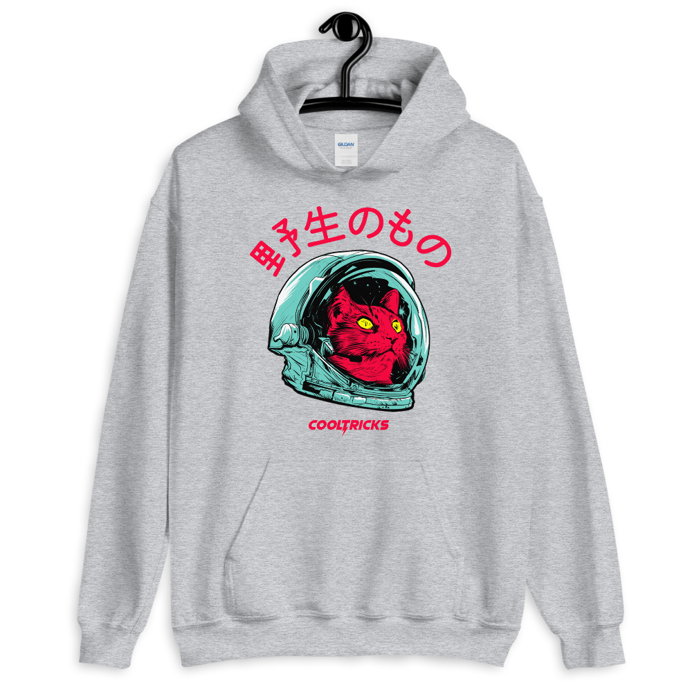 SPACE CAT Hoodie - Shop Cool Tricks