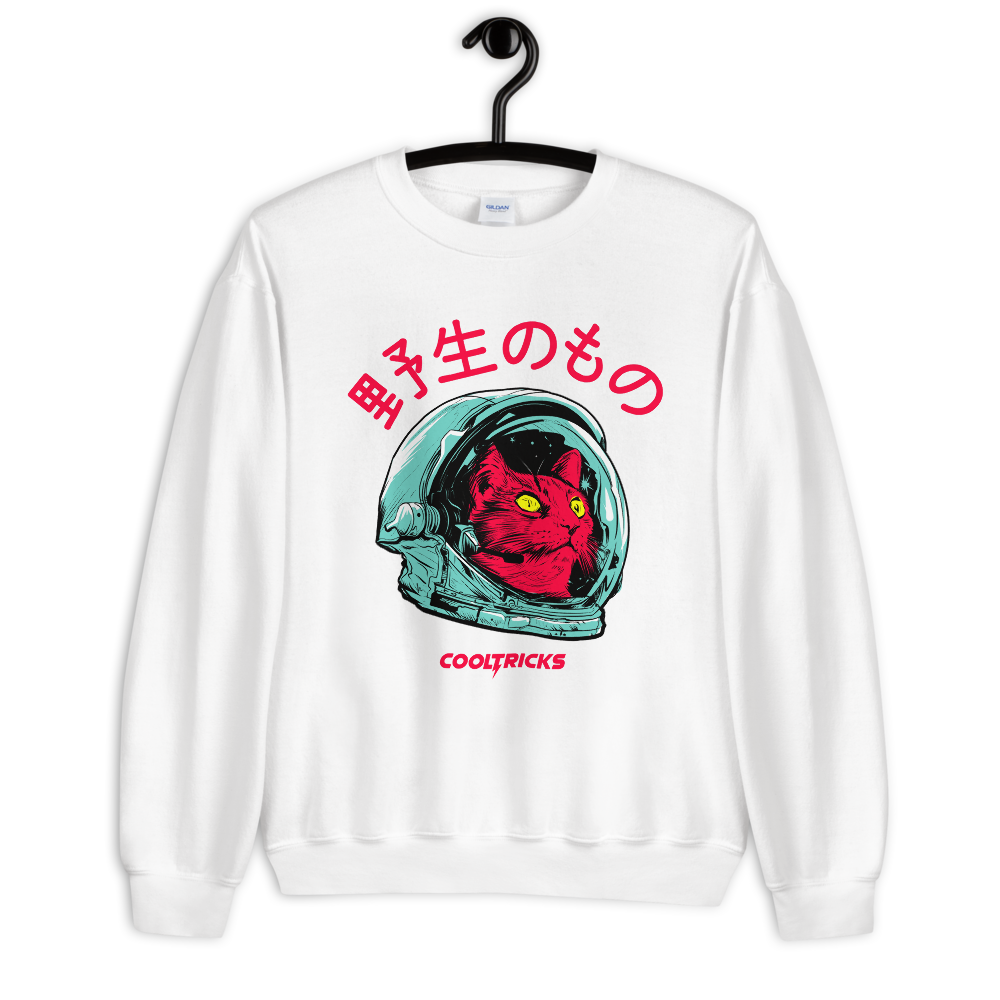 SPACE CAT Sweatshirt