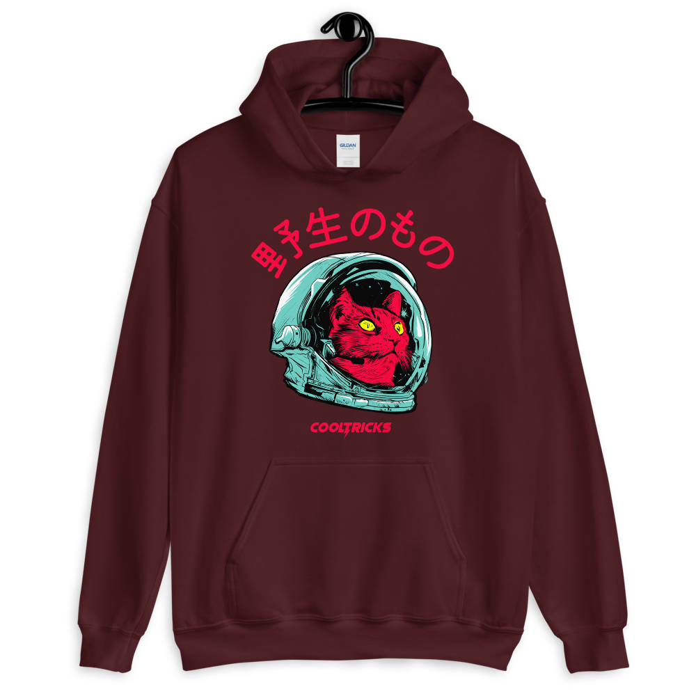 SPACE CAT Hoodie - Shop Cool Tricks