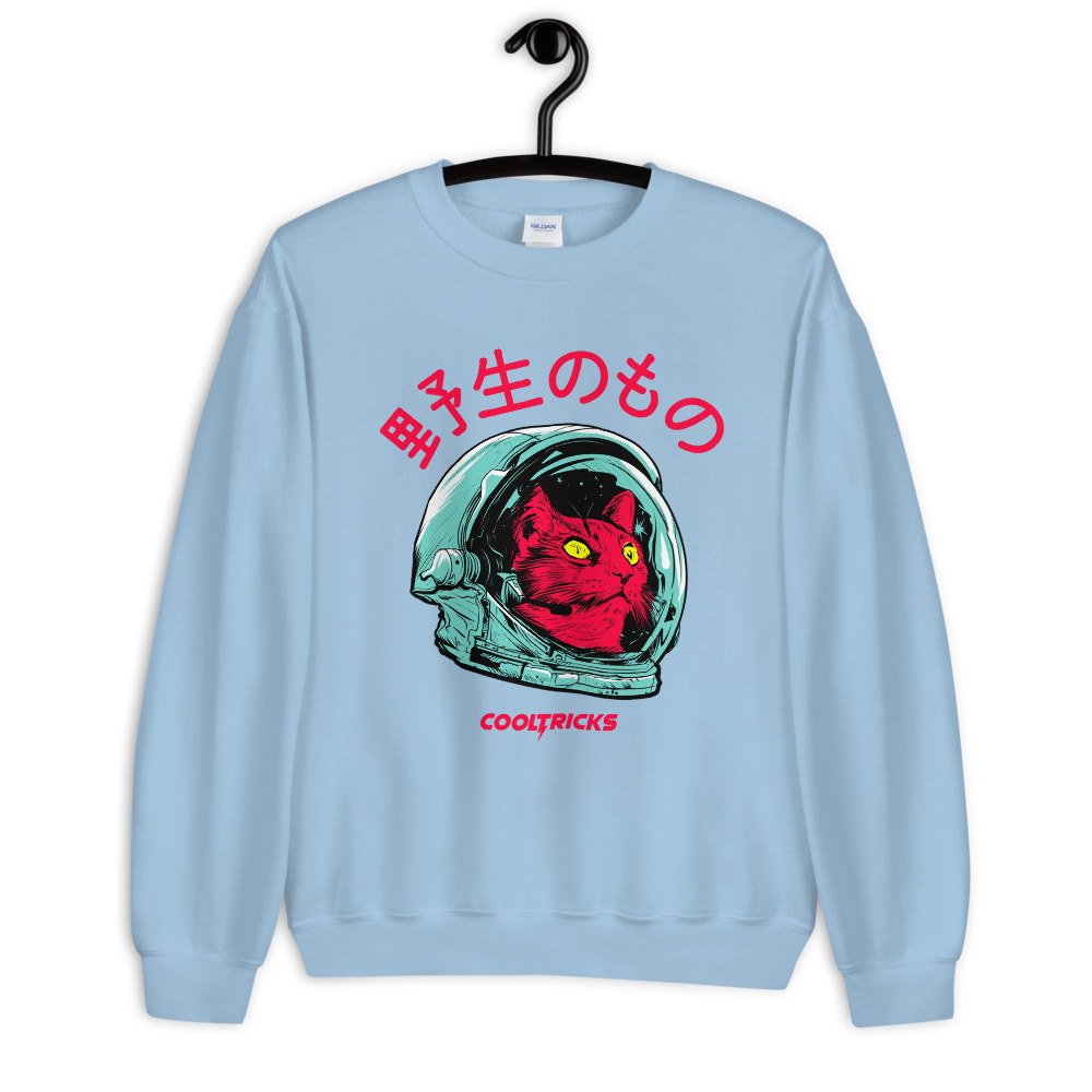 SPACE CAT Sweatshirt