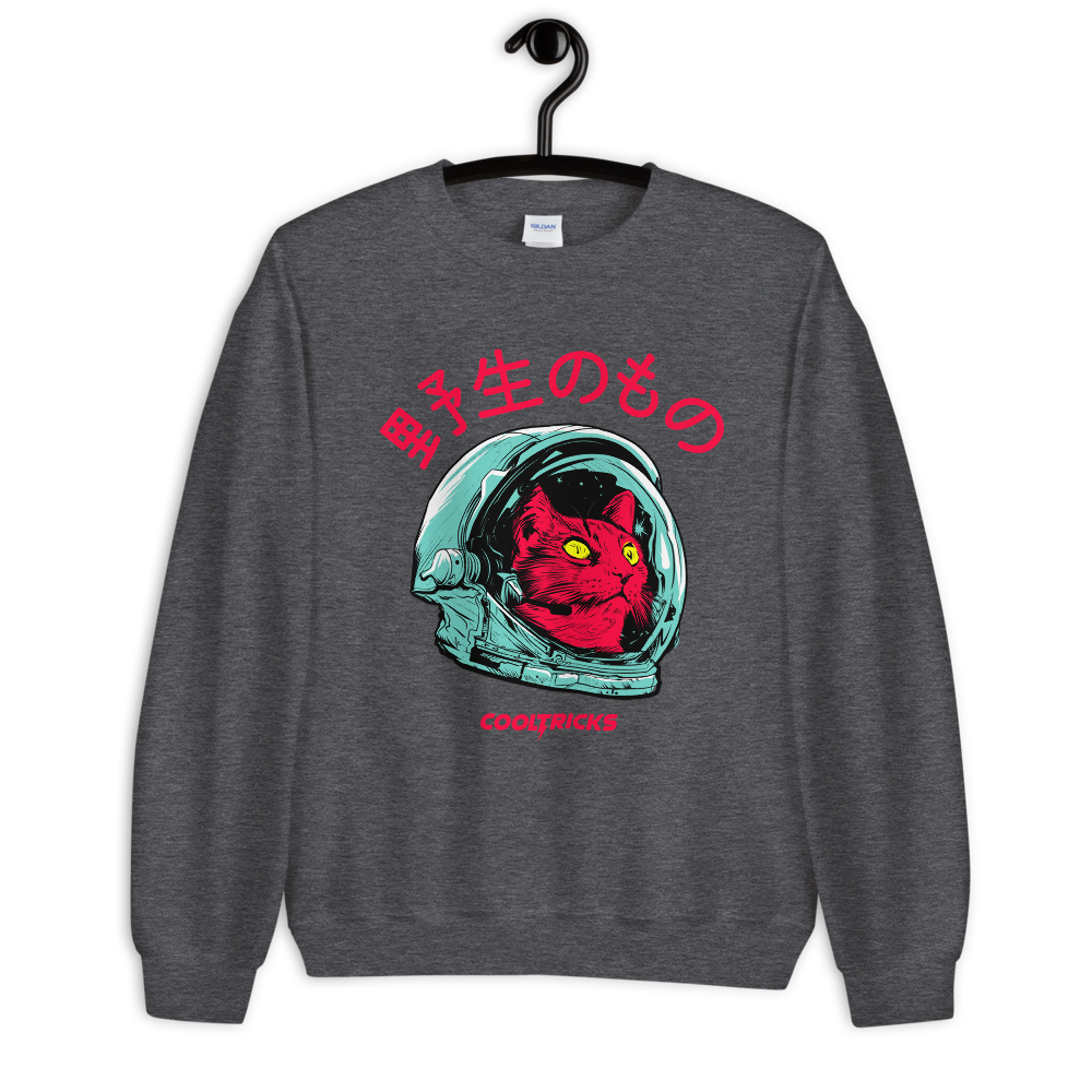 SPACE CAT Sweatshirt