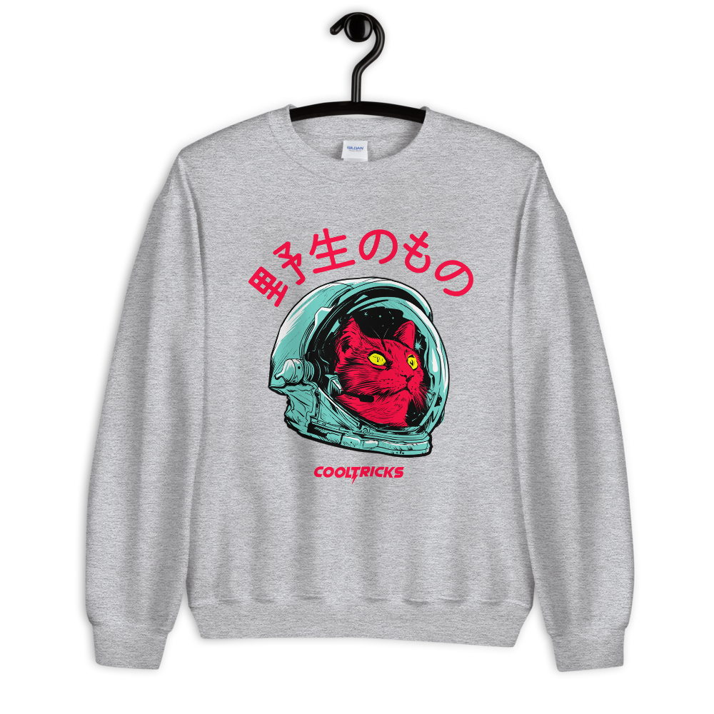 SPACE CAT Sweatshirt