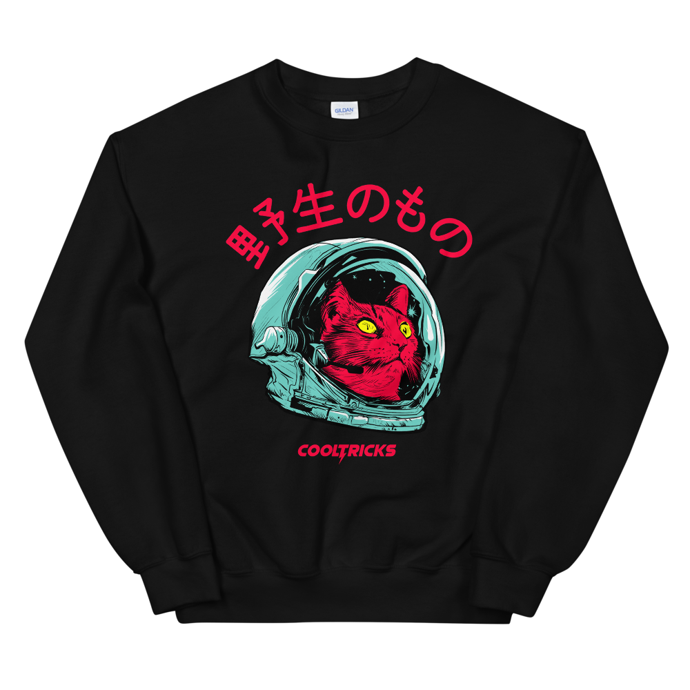 SPACE CAT Sweatshirt