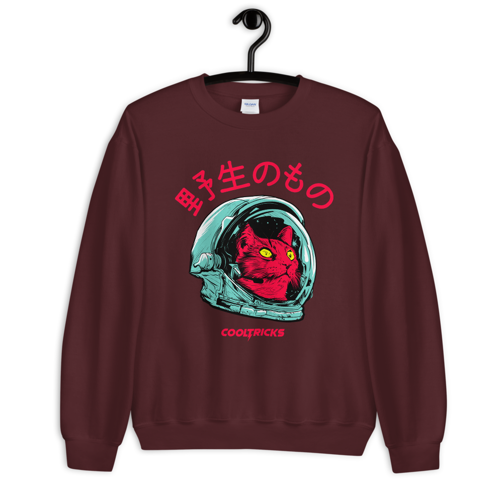 SPACE CAT Sweatshirt