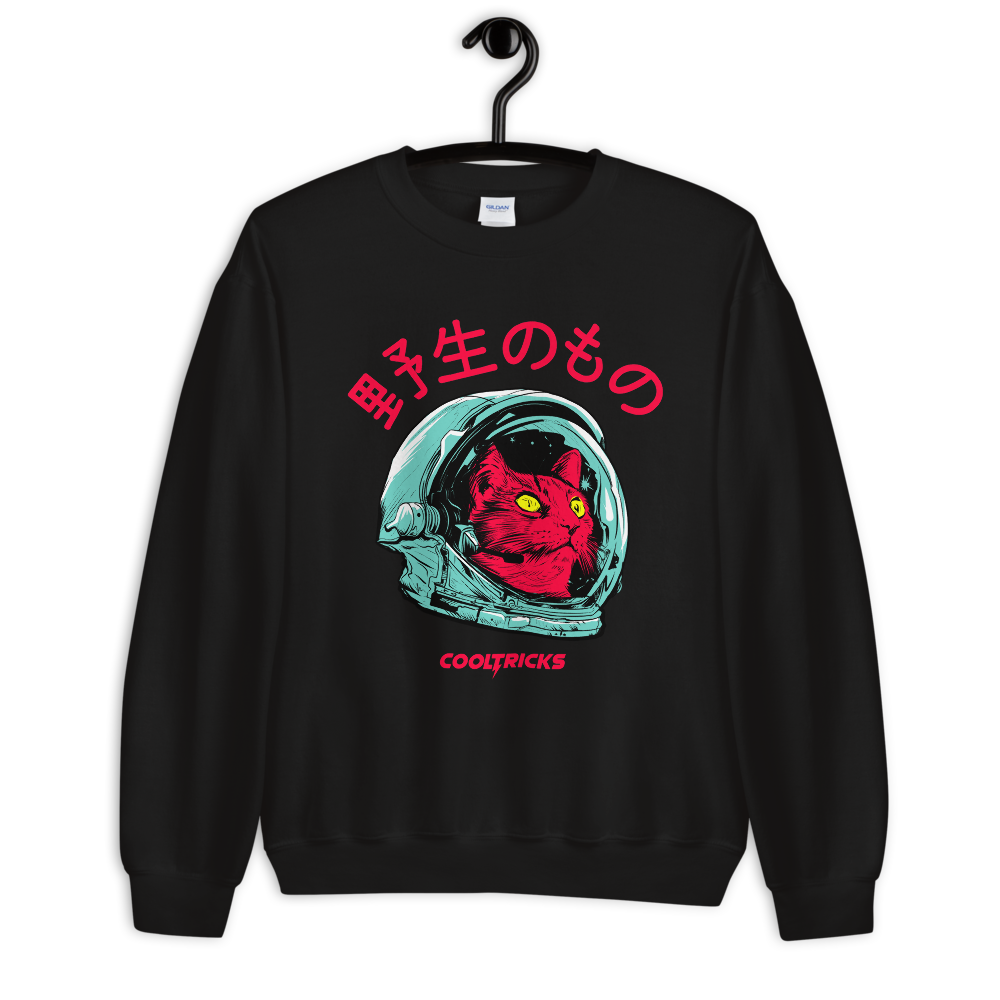 SPACE CAT Sweatshirt