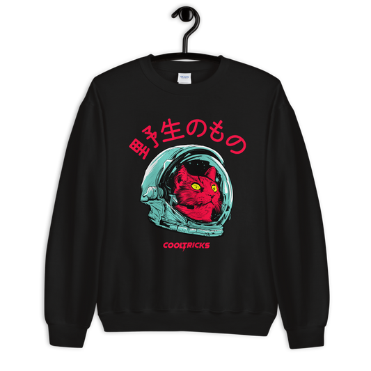 SPACE CAT Sweatshirt