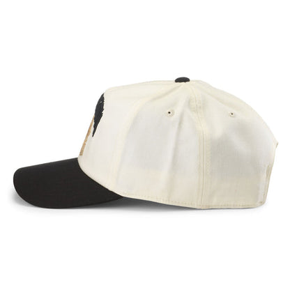Liquid Death Roscoe Twill Hat