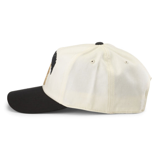 Liquid Death Roscoe Twill Hat