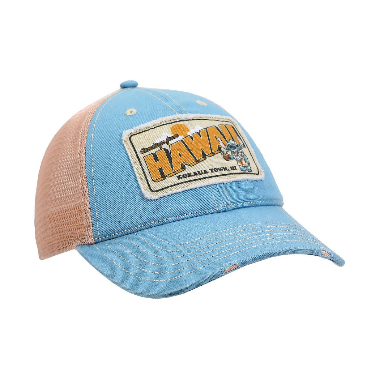 Disney Stitch Hawaii