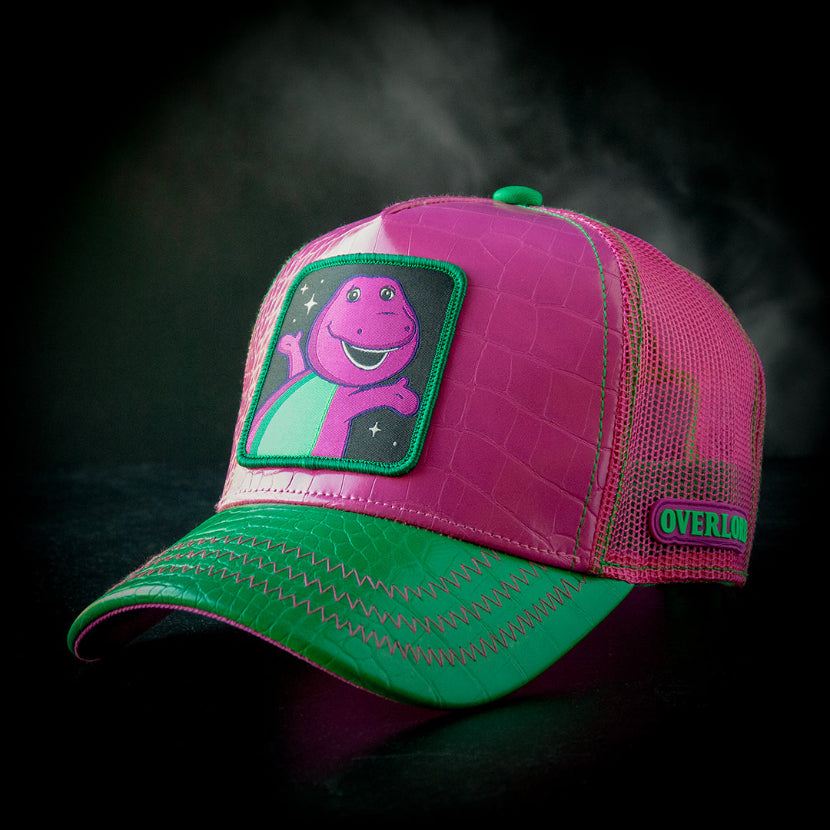 OVERLORD X Barney & Friends - Barney - Shop Cool Tricks
