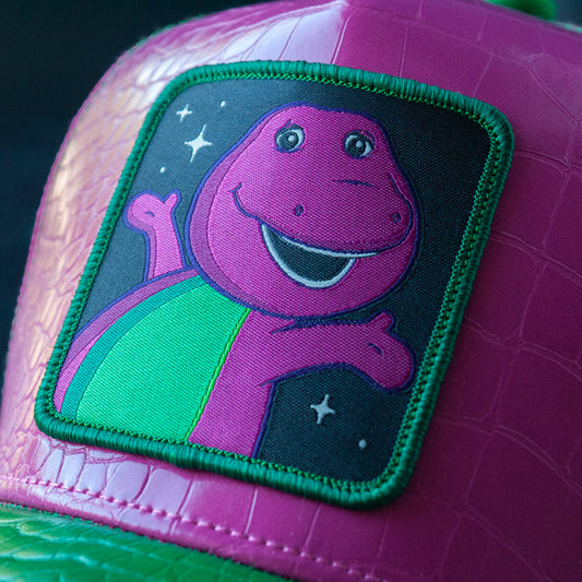 OVERLORD X Barney & Friends - Barney - Shop Cool Tricks