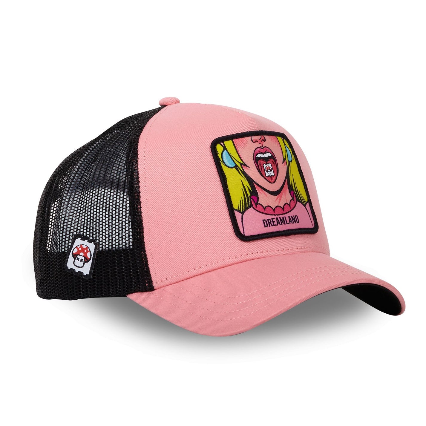 Pop Icon Dreamland Trucker hat