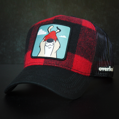 Looney Tunes: Sam the Sheepdog Trucker Hat