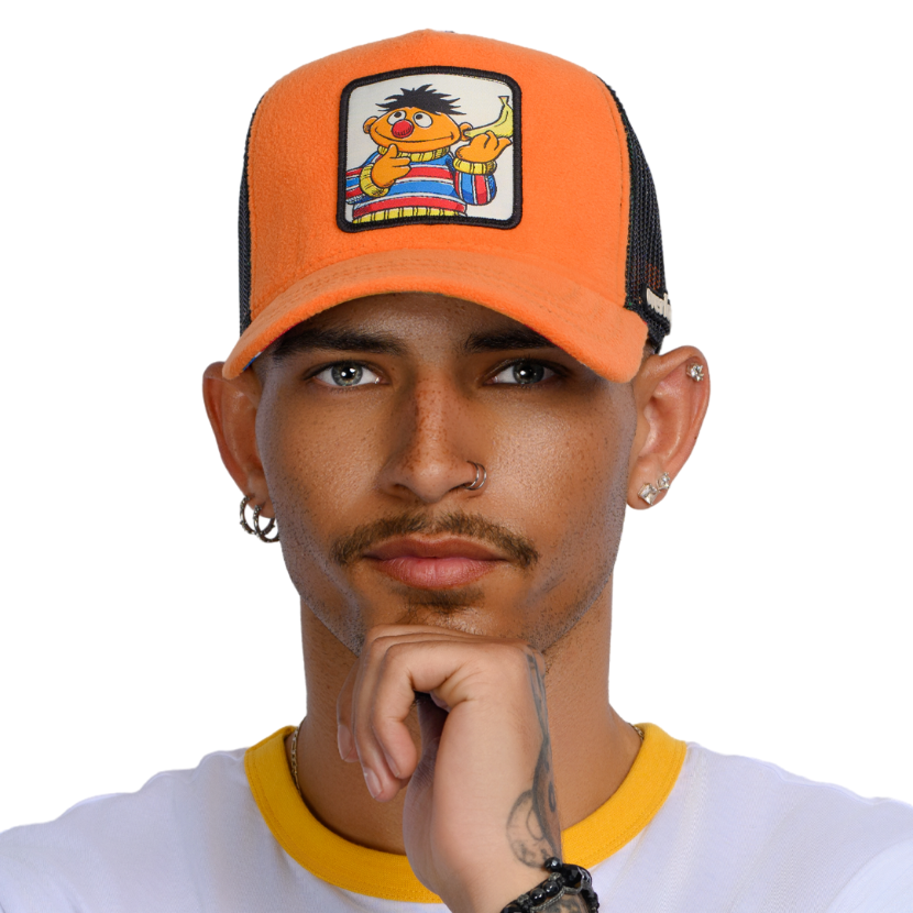 Sesame Street: Ernie