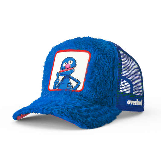 Sesame Street: Grover