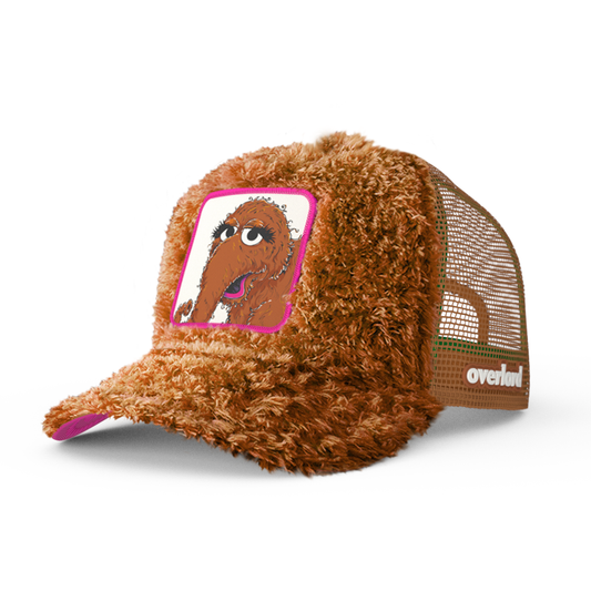 Sesame Street: Snuffleupagus - Shop Cool Tricks