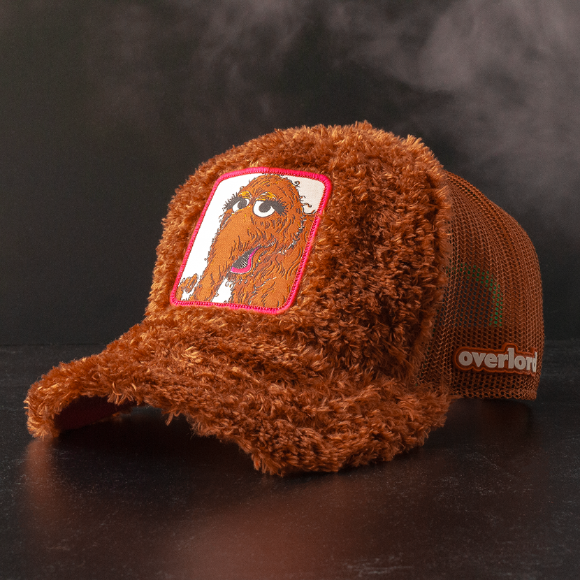 Sesame Street: Snuffleupagus - Shop Cool Tricks