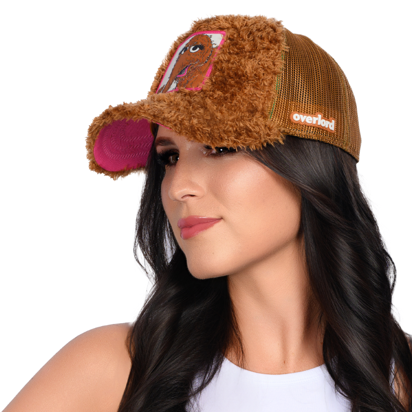 Sesame Street: Snuffleupagus - Shop Cool Tricks