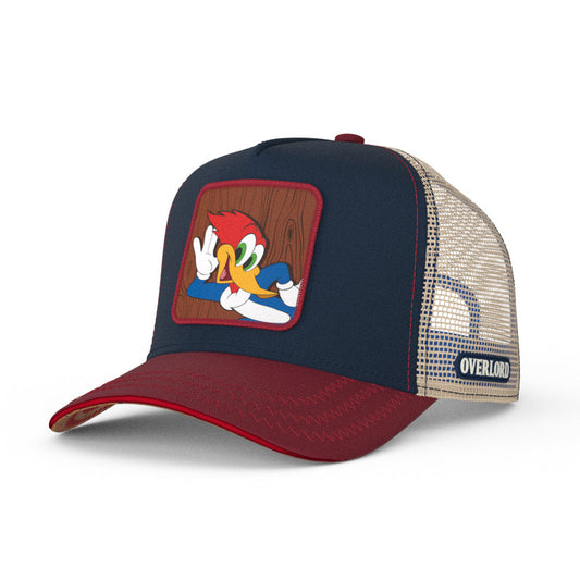 OVERLORD™ x Classic Media - Woody Woodpecker - Shop Cool Tricks