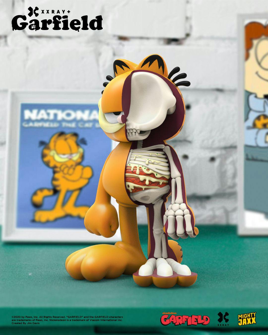 XXRAY Plus Garfield