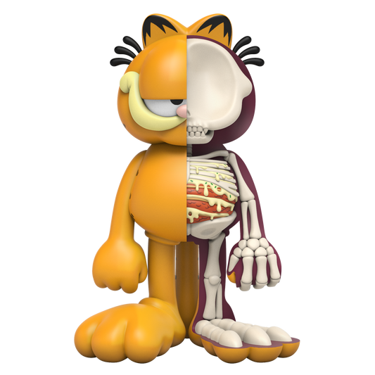 XXRAY Plus Garfield