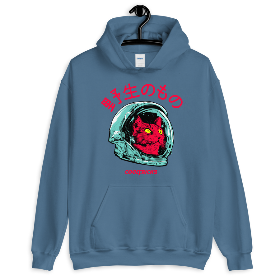 SPACE CAT Hoodie - Shop Cool Tricks