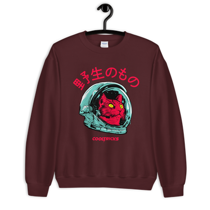 SPACE CAT Sweatshirt